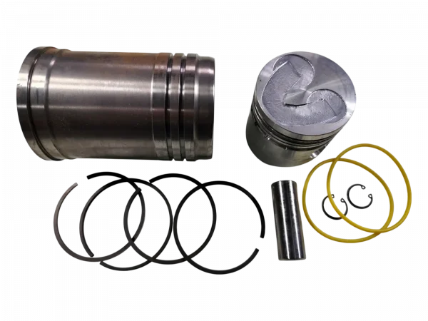 Kit motor Tramontini R180 Forth DE80H changchai TR9 - Image 2