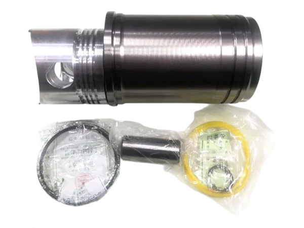 Kit motor changchai R190 forth DE105 tramontini TR12 - Image 2
