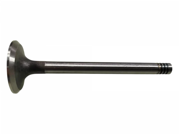 Válvula admissão MWM KD112 D222 4 canaletas